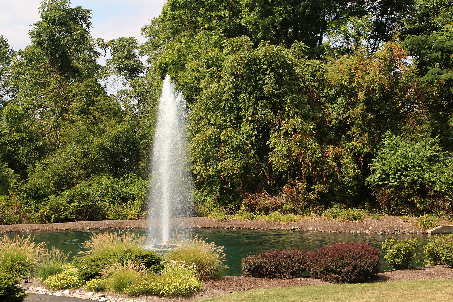 One of Otterbine's Comet Aerating Fountains in a park