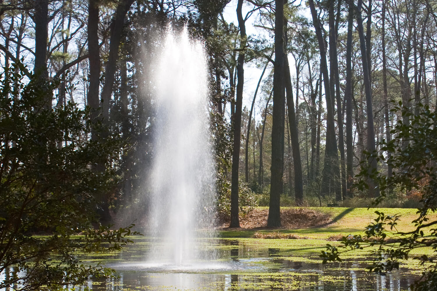 One of Otterbine's Rocket Aerating Fountains