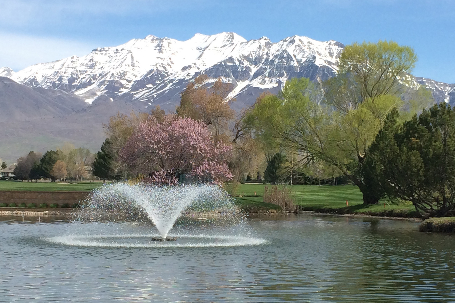 One of Otterbine's Sunburst Aerating Fountains in a beautiful park