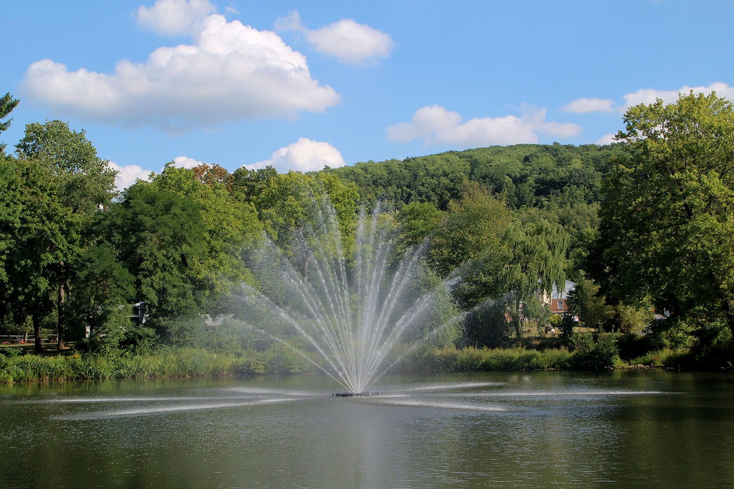 One of Otterbine's Equinox Aerating Fountains in a residential area