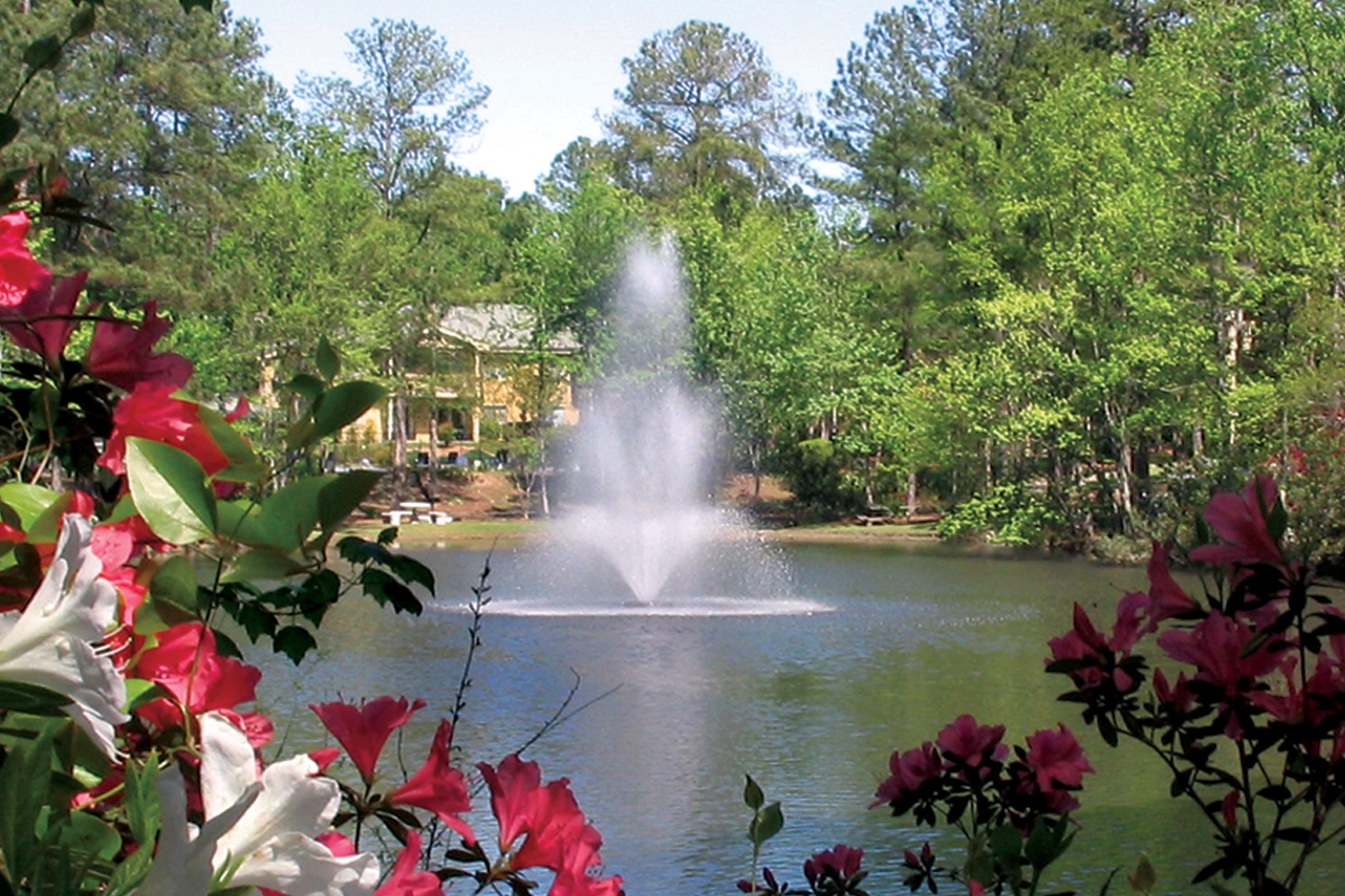 One of Otterbine's Residential Aerating Fountains